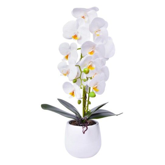 VASO C/FLOR 12X13X55CM SK 2439-069 CX12 VASO C/FLOR 12X13X55CM SK 2439-069 CX12