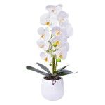 VASO C/FLOR 12X13X55CM SK 2439-069 CX12 VASO C/FLOR 12X13X55CM SK 2439-069 CX12