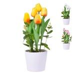 VASO C/FLOR 34 2439-601 CX24 VASO C/FLOR 34 2439-601 CX24