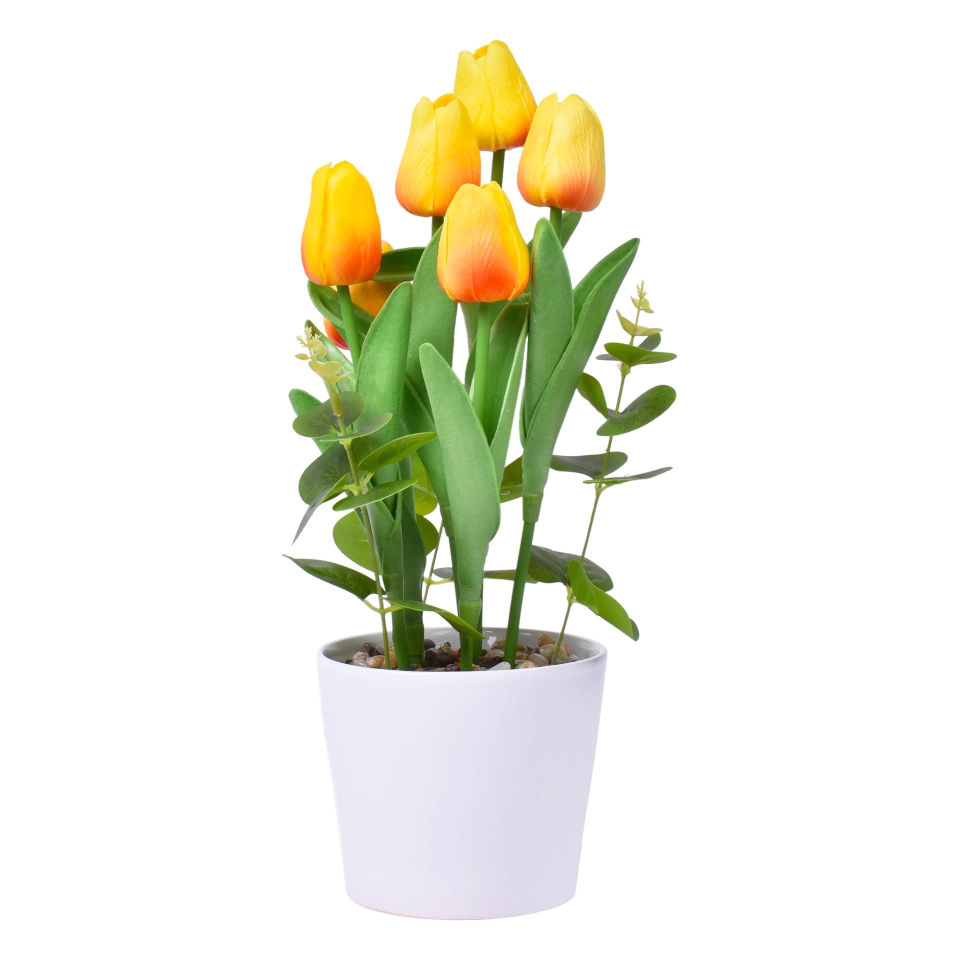 VASO C/FLOR 34 2439-601 CX24 VASO C/FLOR 34 2439-601 CX24