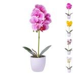 VASO C/FLOR 8X32 2439-030 CX48 VASO C/FLOR 8X32 2439-030 CX48