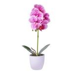VASO C/FLOR 8X32 2439-030 CX48 VASO C/FLOR 8X32 2439-030 CX48