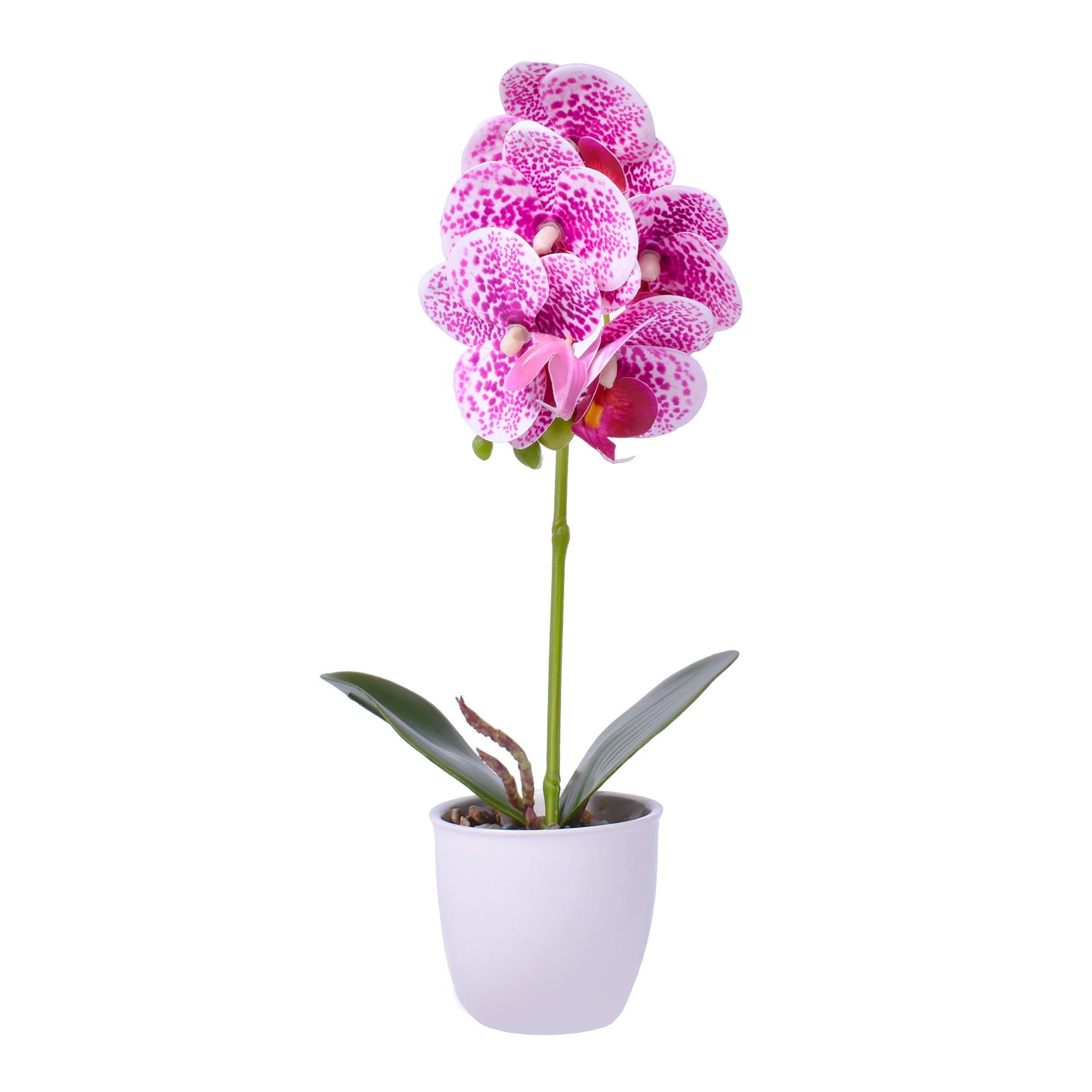VASO C/FLOR 8X32 2439-030 CX48 VASO C/FLOR 8X32 2439-030 CX48