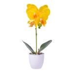 VASO C/FLOR 8X32 2439-030 CX48 VASO C/FLOR 8X32 2439-030 CX48