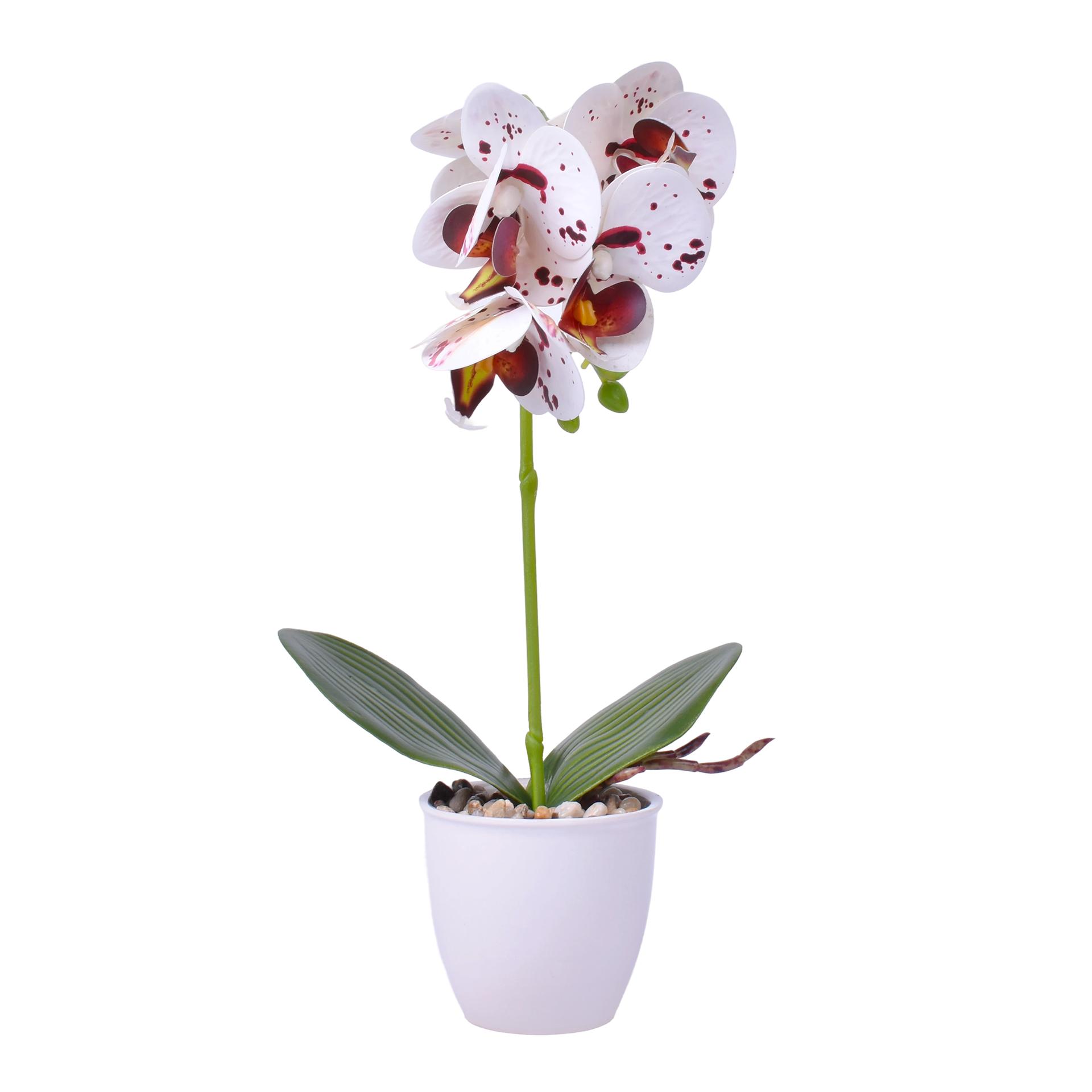 VASO C/FLOR 8X32 2439-030 CX48 VASO C/FLOR 8X32 2439-030 CX48