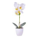 VASO C/FLOR 8X32 2439-030 CX48 VASO C/FLOR 8X32 2439-030 CX48