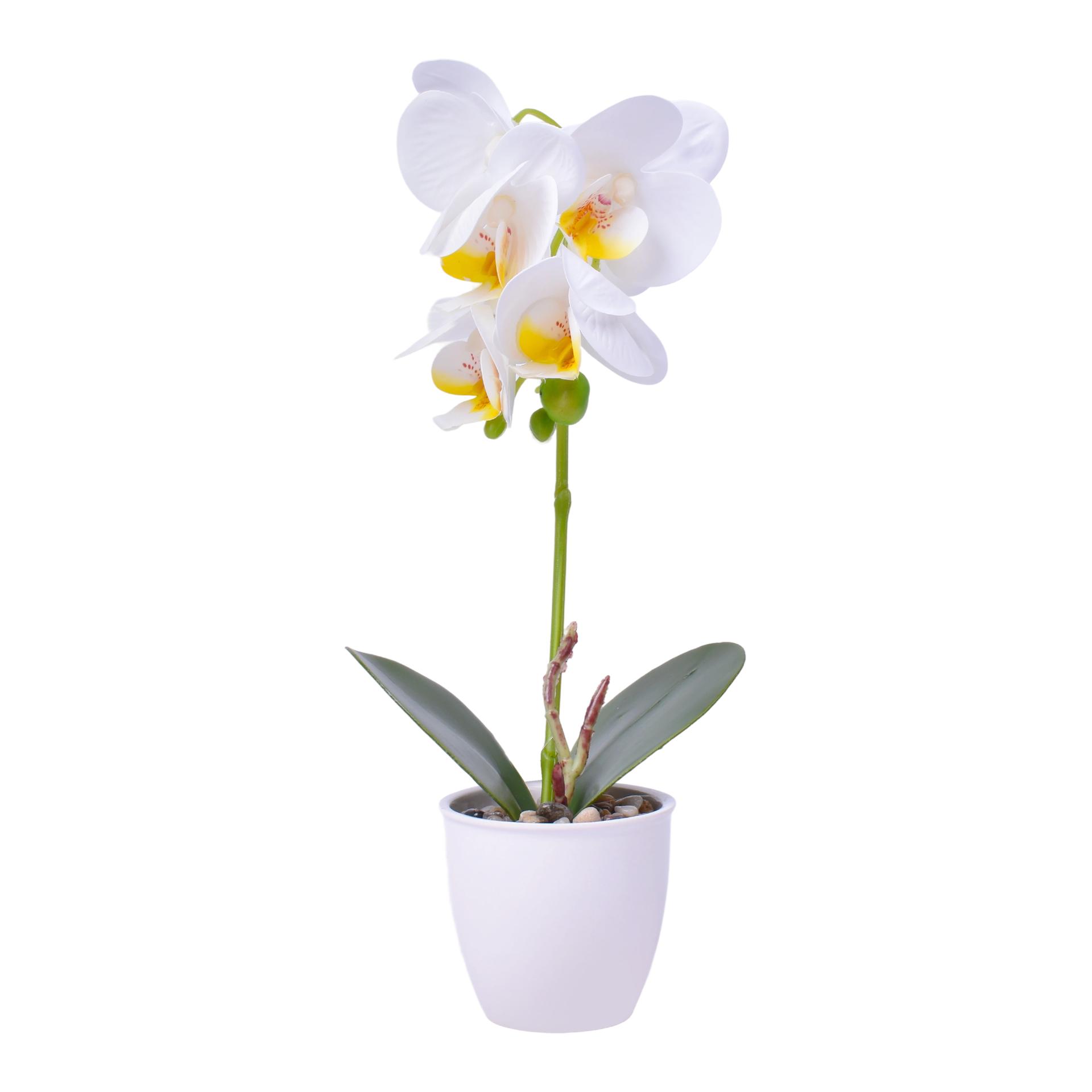 VASO C/FLOR 8X32 2439-030 CX48 VASO C/FLOR 8X32 2439-030 CX48