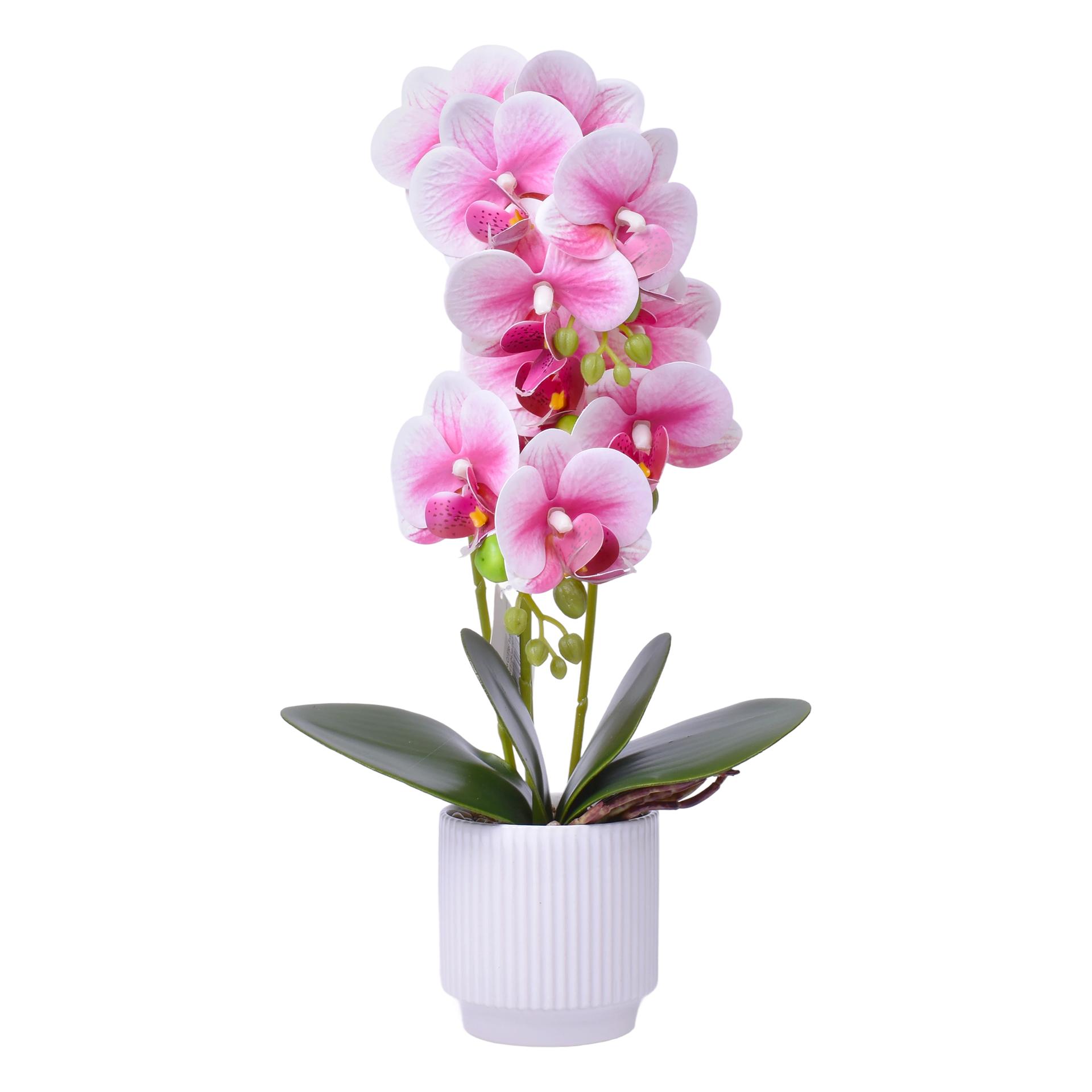 VASO C/FLOR 8X8X40CM SK 2439-067 CX24 VASO C/FLOR 8X8X40CM SK 2439-067 CX24