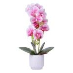 VASO C/FLOR 8X8X40CM SK 2439-067 CX24 VASO C/FLOR 8X8X40CM SK 2439-067 CX24