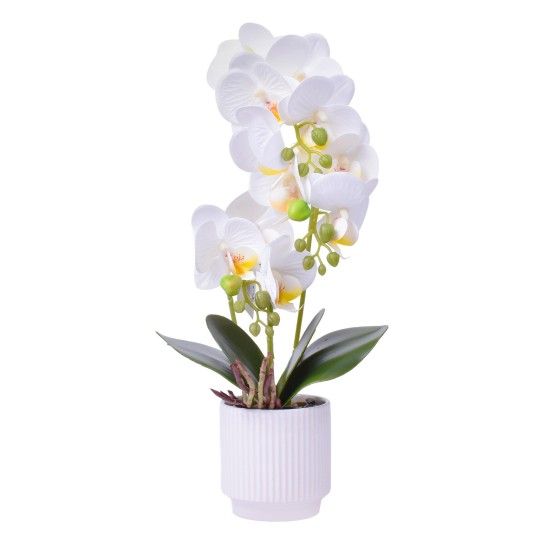 VASO C/FLOR 8X8X40CM SK 2439-067 CX24 VASO C/FLOR 8X8X40CM SK 2439-067 CX24