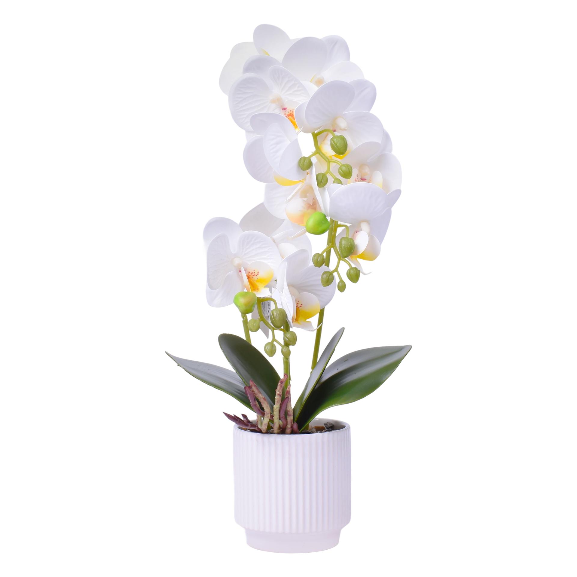 VASO C/FLOR 8X8X40CM SK 2439-067 CX24 VASO C/FLOR 8X8X40CM SK 2439-067 CX24