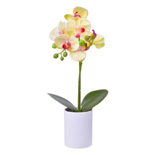VASO C/FLOR ARTIFICIAL 2439-000 CX24 VASO C/FLOR ARTIFICIAL 2439-000 CX24