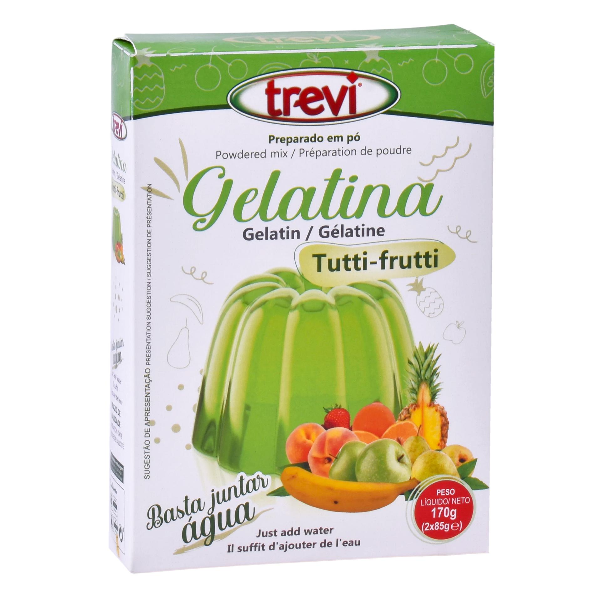 GELATINA TUTTI-FRUTTI TREVI 28G GELATINA TUTTI-FRUTTI TREVI 28G
