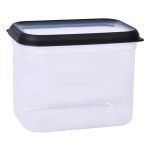 CAIXA PLASTICA 1,9L L-00974 CX12 CAIXA PLASTICA 1,9L L-00974 CX12