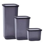CONJ 3 CAIXA PLAST 650ML SK AK-835 CX32