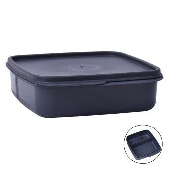 CAIXA PLAST 800ML SK AK-540 CX24