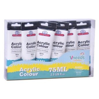 TINTA ACR.75ML BRANCO SK2456-305-A CX20
