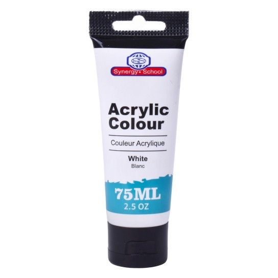 TINTA ACR.75ML BRANCO SK2456-305-A CX20