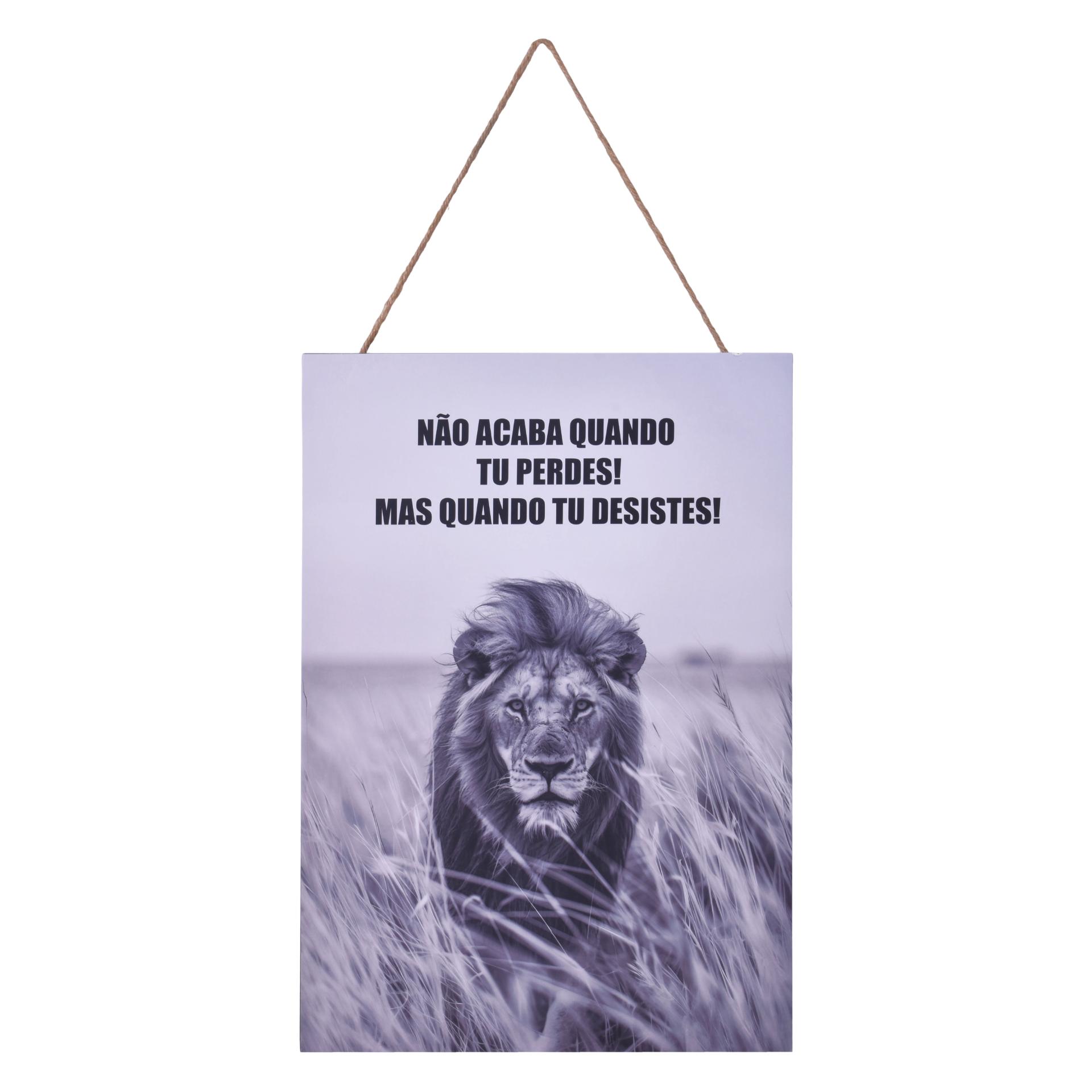 QUADRO MDF 25,5X36,5X0,8 SK 1820-057-M1 CX24