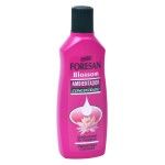 FORESAN AMB.WC BLOSSOM 125ML FORESAN AMB.WC BLOSSOM 125ML