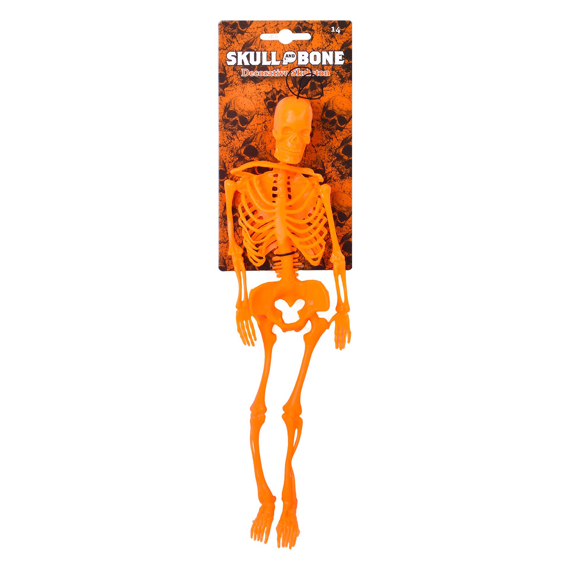 ESQUELETO HALL 32CM 1421-505 CX240 ESQUELETO HALL 32CM 1421-505 CX240