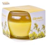 VELA CITRONELA 820-97 CX24 VELA CITRONELA 820-97 CX24