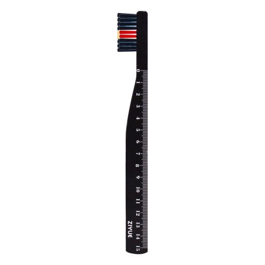 REGUA 15CM 2458-001 REGUA 15CM 2458-001