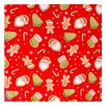 PAPEL EMBRULHO 0,7X5M 042-64
