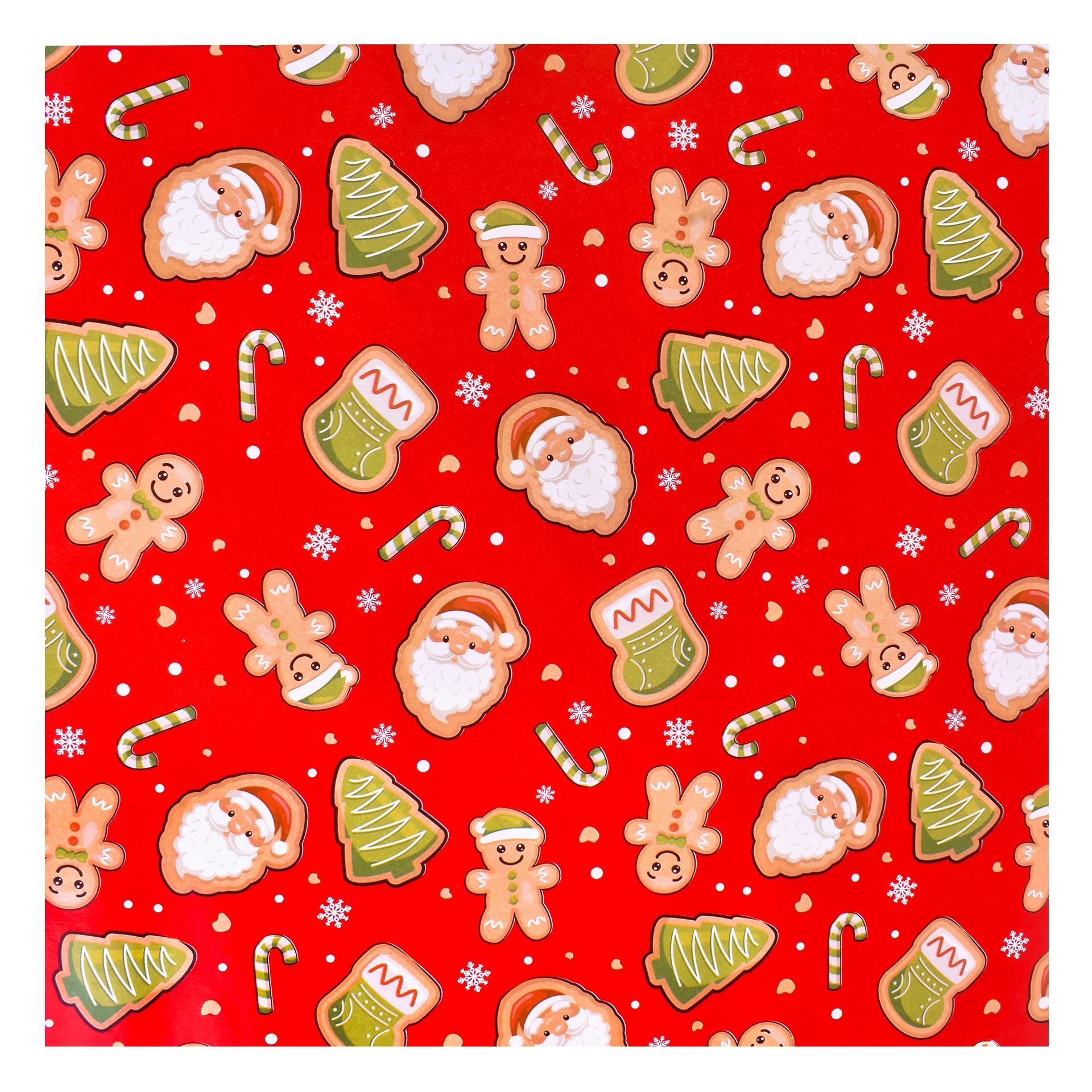 PAPEL EMBRULHO 0,7X5M 042-64
