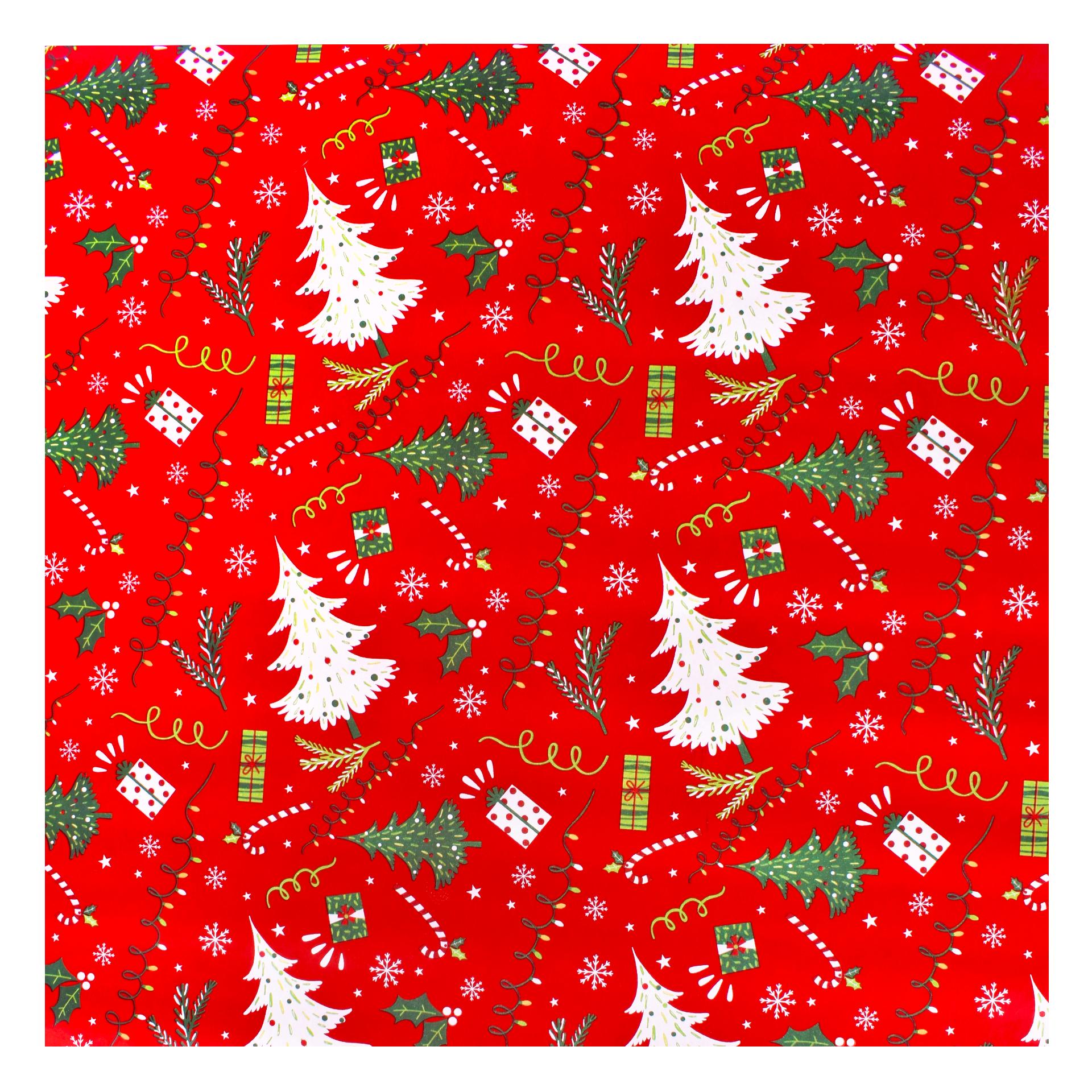 PAPEL EMBRULHO 0,7X5M 042-64