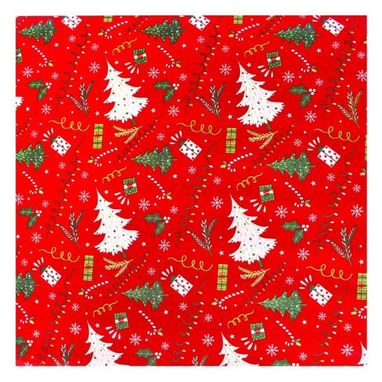 PAPEL EMBRULHO 0,7X5M 042-64