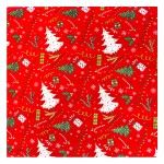 PAPEL EMBRULHO 0,7X5M 042-64