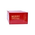 BOLA NATAL C/LUZ 30CM SK 2733-500B-30 CX12 BOLA NATAL C/LUZ 30CM SK 2733-500B-30 CX12